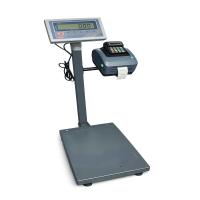 Etiket yazıcılı elektronik baskül Etiket yazıcılı elektronik baskül